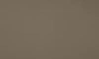 Пластик HPL Fenix 0717 Castoro Ottawa NTM 3050x1300x0,9