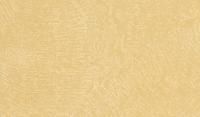 Пластик HPL 2593 LU Шафран  глянец PF 0,6 мм 3050*1300 мм Arpa
