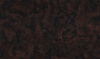 Пластик HPL 2527 LU Бронза  глянец PF 0,6 мм 3050*1300 мм Arpa